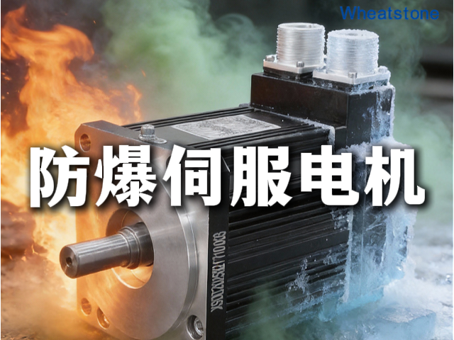 防爆伺服电机：戴着“防毒面具”跳舞的精密舞者
