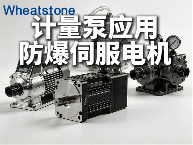 计量泵的“精准心跳”：防爆伺服电机如何让流体输送“分毫不差”