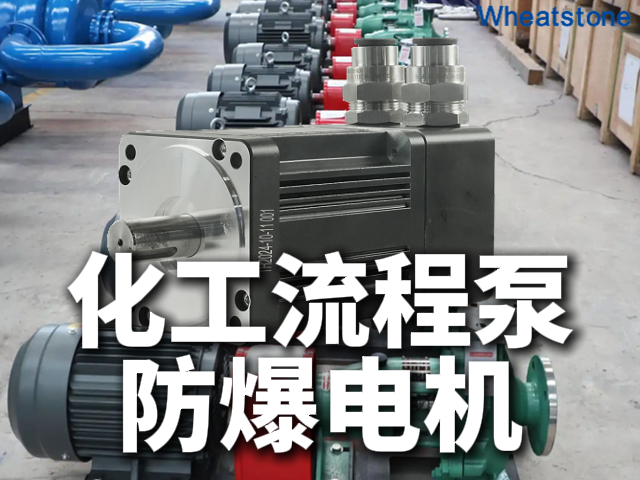 化工流程泵智能电机：惠斯通防爆伺服电机如何实现高精度调节