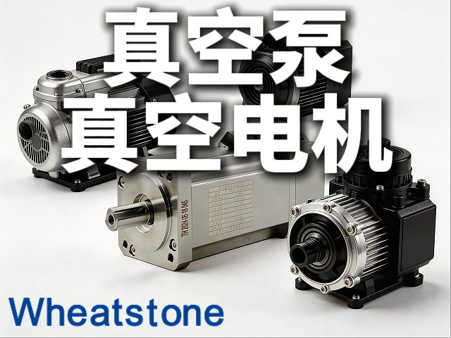 真空泵的“隐形搭档”：惠斯通真空电机持久动力
