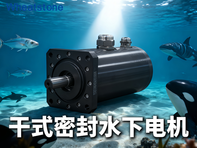 干式密封水下电机：惠斯通“干舱”技术如何让水下设备“滴水不进”？