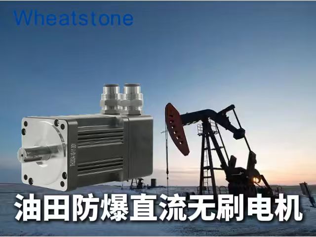 加拿大油气田防爆直流无刷电机：惠斯通如何用750W、4.7Nm满足-40℃严寒与ATEX严苛认证