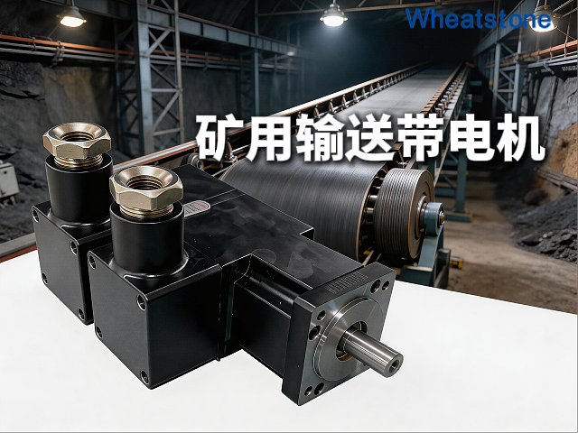 矿用防爆伺服电机：惠斯通为皮带输送机提供安全高效直驱动力