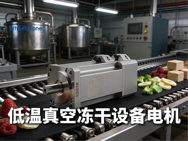 低温真空冻干设备专用电机：惠斯通如何以-80℃耐寒+10⁻⁷ Pa低出气技术守护疫苗与生物制品活性