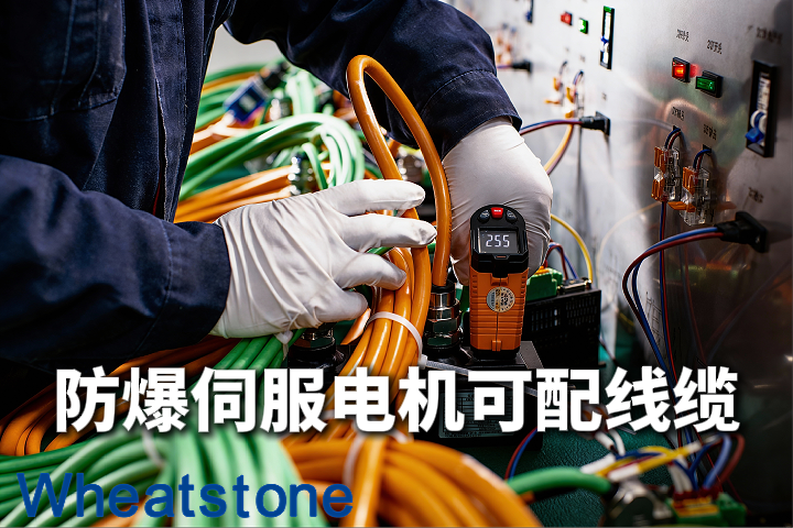 防爆伺服电机的“血管”与“神经”——TRVVP拖链电缆与编码器双绞屏蔽线选型指南