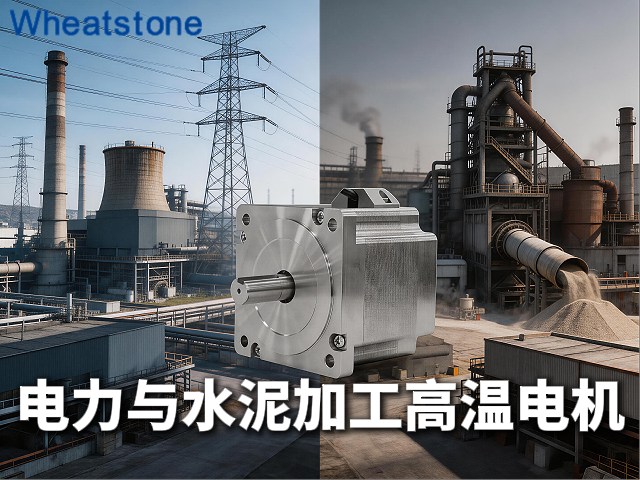 电力能源与水泥建材行业的高温电机——惠斯通以H级绝缘与高.效冷却护航锅炉辅机与回转窑连续运转