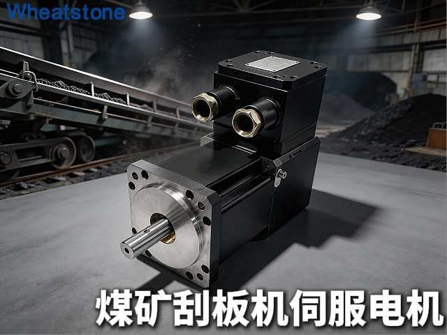 选煤厂刮板机电机三年锈穿一台：惠斯通316L不锈钢壳体+重防腐涂层，让腐蚀不再是电机的“慢性病”