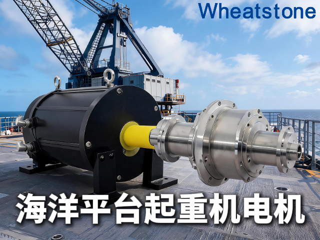 海洋平台寸土寸金，惠斯通电机为起重机“瘦身增效”