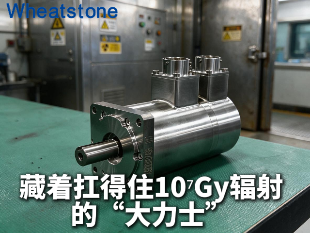 巴掌大的地方，藏着扛得住10⁷Gy辐射的“大力士”