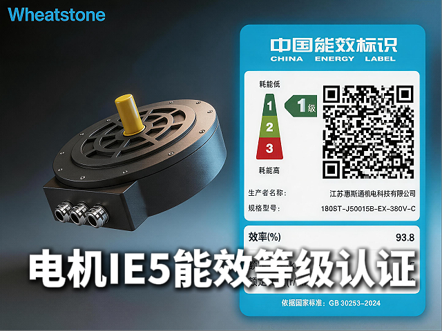 惠斯通永磁同步电机通过IE5能效认证，以更低能耗驱动更强生产力