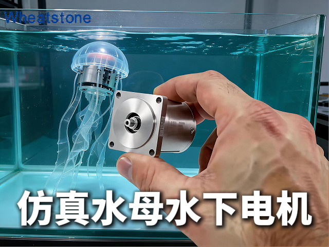 仿生水母“静默”深海，惠斯通定制电机为水下机器人注入“温柔动力”