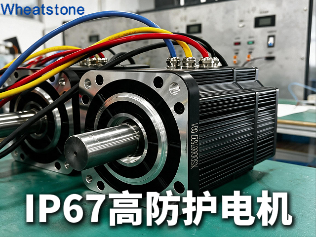IP67防护电机：不只是“防水”，而是一张在恶劣环境中生存的“通行证”