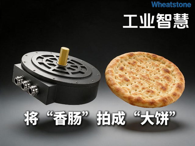 把“香肠”拍成“大饼”，惠斯通轴向磁通电机为新能源车“瘦身增效”