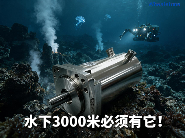 3000米深海，每平方厘米承受300公斤压力——惠斯通永磁电机用 重新定义“水下可靠”