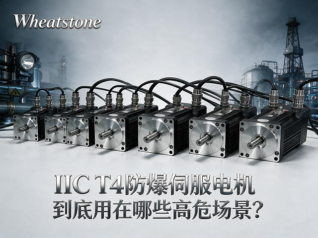 氢气环境下的防爆电机：IIC T4的技术门槛