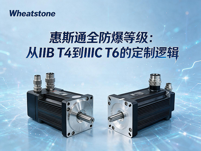 惠斯通全防爆等级：从IIB T4到IIIC T6的定制逻辑