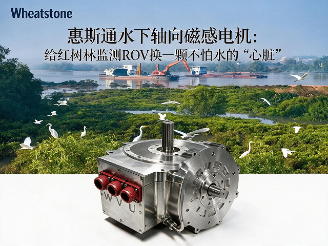 惠斯通水下轴向磁通电机：给红树林监测ROV换一颗不怕水的“心脏”