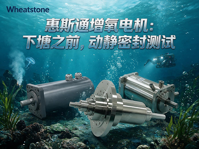 惠斯通增氧电机：下塘之前，动静密封测试